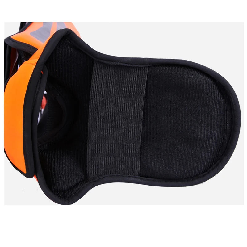 Gingpai Chránič Na Holeně